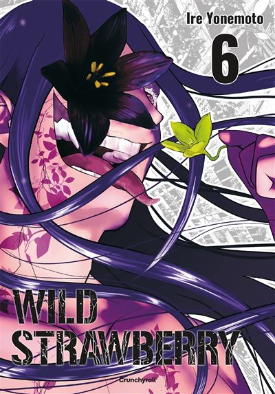 Wild Strawberry - T6 - Ire Yonemoto (2026)