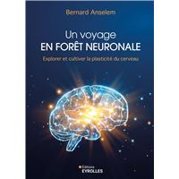 Un voyage en forêt neuronale