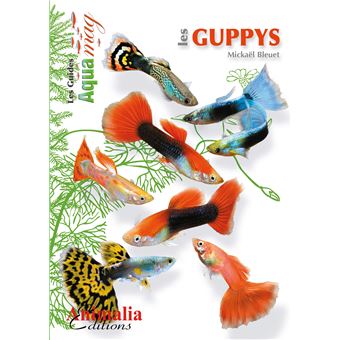 Les guppys - 1