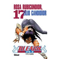 Bleach - Tome 17