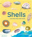 Shells... and what they hide inside