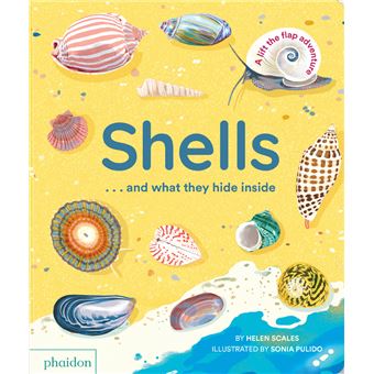 Shells... and what they hide inside