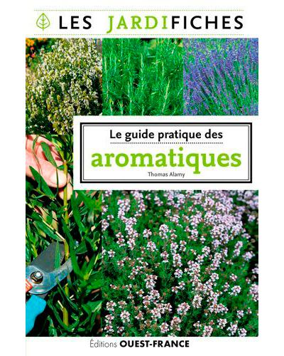 Le guide pratique des aromatiques
