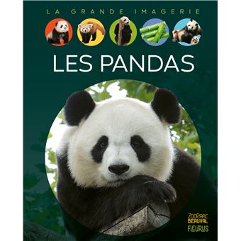 Les pandas - 1