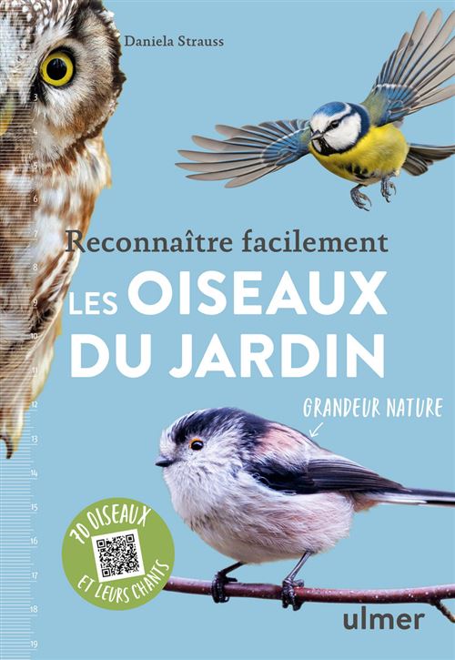 Reconnaître facilement les oiseaux du jardin