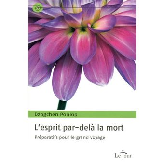 L'esprit par-delà la mort : préparatifs pour le grand voyage - 1