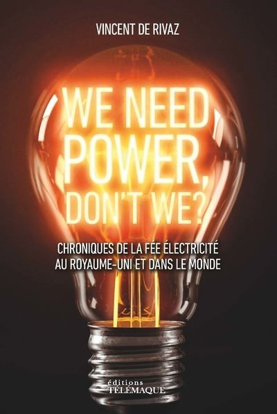 We need power, don't we ? - Vincent de Rivaz - broché