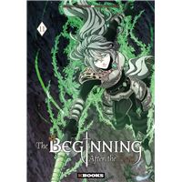 BEGINNING AFTER THE END,11