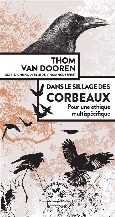 Dans le sillage des corbeaux - Thomas Van Dooren - Actes sud - broché - Essai