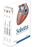 Atlas d'anatomie humaine (6° Éd.) - Coffret 3 tomes reliés + fascicule