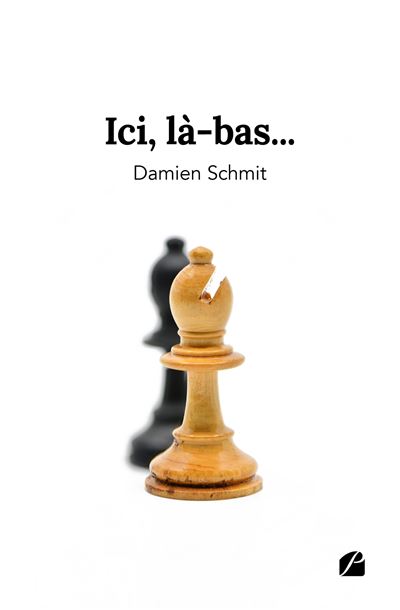 Ici, là-bas... - Damien Schmit - Du Pantheon Eds - broché - Récit
