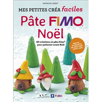 Pâte Fimo - Petites créa faciles - 60 modèles originaux pour des enfants  heureux, même quand il pleut ! - Natacha Seret (EAN13 : 9782350323398)