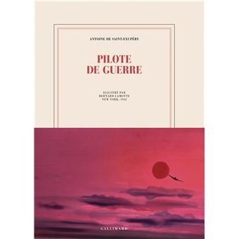 Pilote de guerre - 1