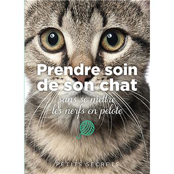 Prendre soin de son chat sans se mettre les nerfs en pelote - 1