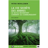 Editions Radio France // BD :  La vie secrète des arbres  Fred