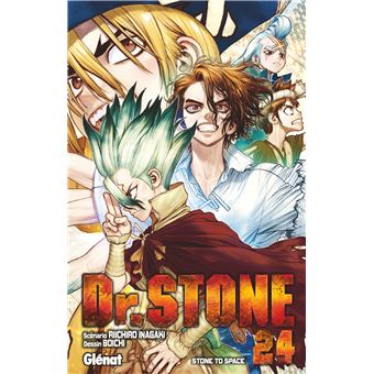 Dr. Stone - Tome 24 - Dr. Stone - Tome 24 - Riichirô Inagaki, Boichi -  broché - Achat Livre ou ebook | fnac