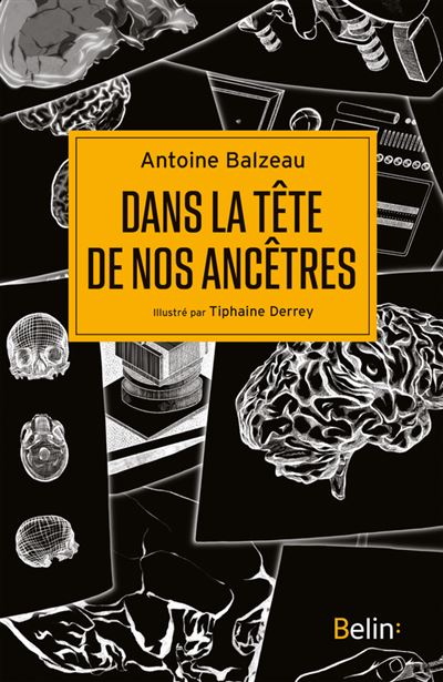 Dans la tête de nos ancêtres - Antoine Balzeau (2025)
