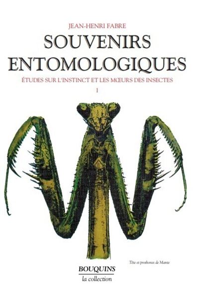 Souvenirs entomologiques - tome 1