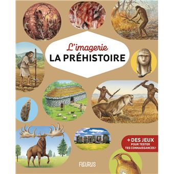 L'imagerie - La préhistoire - 1