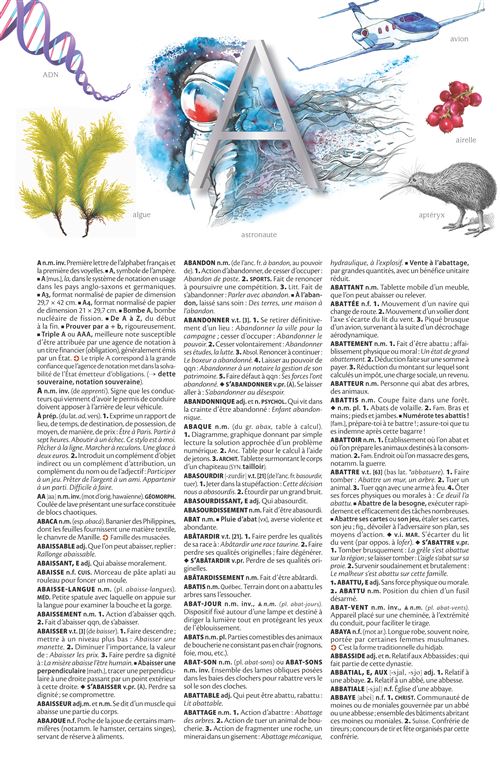 Petit Larousse illustré 2025 - relié - Collectif, Livre tous les