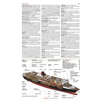 Petit Larousse illustré 2025 - relié - Collectif, Livre tous les