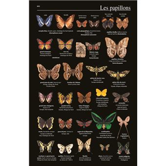 Petit Larousse illustré 2025 - relié - Collectif, Livre tous les