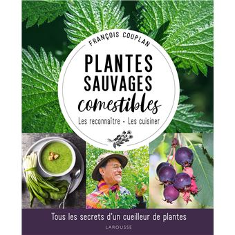 Plantes sauvages comestibles - 1