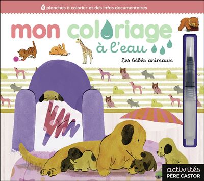 Mon coloriage à l'eau - Les bébés animaux - Maud Legrand - Flammarion Jeunesse Pere Castor - broché - Jeux livres objets