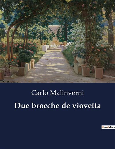 Due brocche de viovetta - Carlo Malinverni - broché