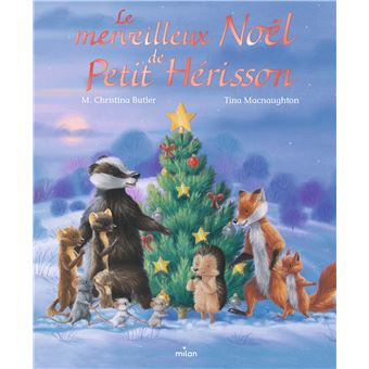 Le merveilleux Noël de Petit Hérisson