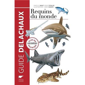 Requins du monde - 1