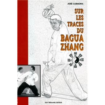 Sur les traces du bagua zhang - 1