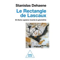 Le Rectangle de Lascaux