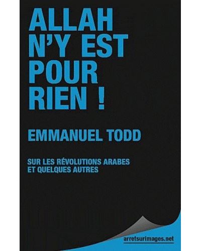 Allah n'y est pour rien !: Sur les révolutions arabes et quelques autres - Emmanuel Todd (2011)