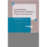 La protection des secrets d affaires : enjeux et perspectives