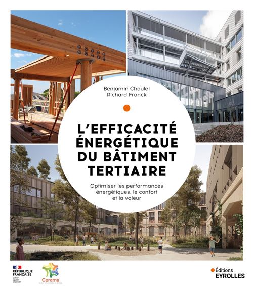 L'efficacité énergétique des bâtiments tertiaires Optimiser les performances énergétiques, le confort et la valeur - Richard Franck - Eyrolles - broché - Guide