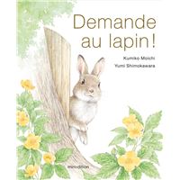 Demande au lapin !