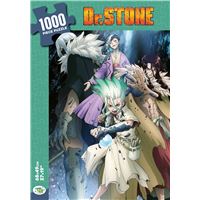 Dr. Stone / Puzzle 1000 pièces / Jeu de Patience et de Réflexion / 68x49 cm