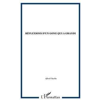 Réflexions d'un gone qui a grandi - 1
