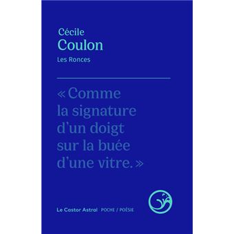 Le livre «La langue des choses cachées» de Cécile Coulon et le jeu