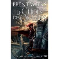 L'Ange de la Nuit, T2 : Le Choix des ombres