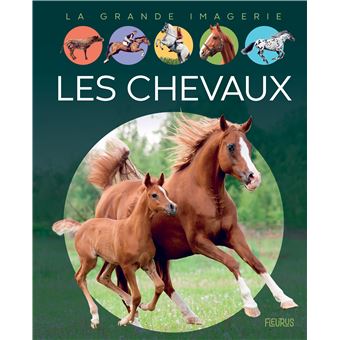 Les chevaux - 1