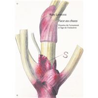 Face au chaos - Pensées de l'ornement à l'âge de l'industrie