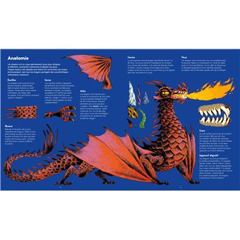 La vie secrète des dragons