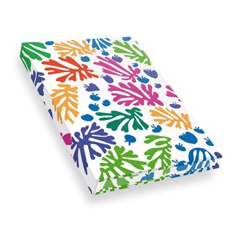 Carnet Hazan pleine toile.  Matisse La perruche et la sirène - 1
