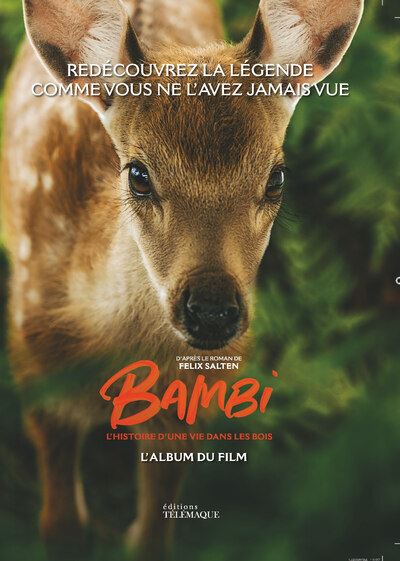 Fnac.com : Retrait 1h en magasin gratuit & livraison gratuite à domicile à partir de 35€ d'achat de livre. Bambi, l'album du film - Album jeunesse. Découvrez des nouveautés, des coups de cœur, des avis d'internautes, …