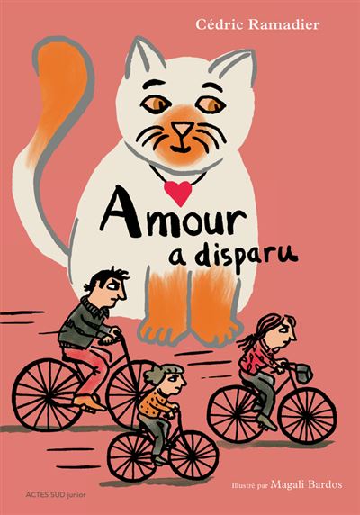 Amour a disparu - Cédric Ramadier - Actes Sud Jeunesse - broché - Roman cadet
