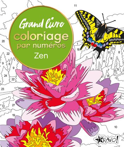 Grand livre coloriage par numéros - Zen - David Woodroffe - Bravo - broché - Livre-jeu