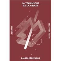 Autoproduction accompagnée, un levier de changement - broché - Daniel  Cerezuelle, Guy Roustang, Livre tous les livres à la Fnac