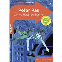 Mon livre pop-up - peter pan : Collectif - 2384531166 - Livres pour enfants  dès 3 ans
